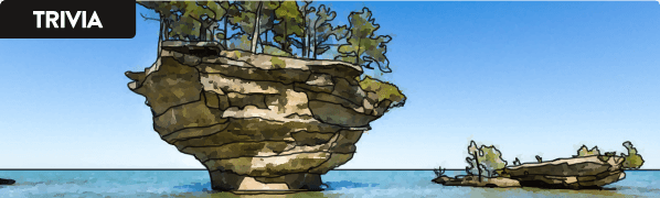 Michigan Trivia